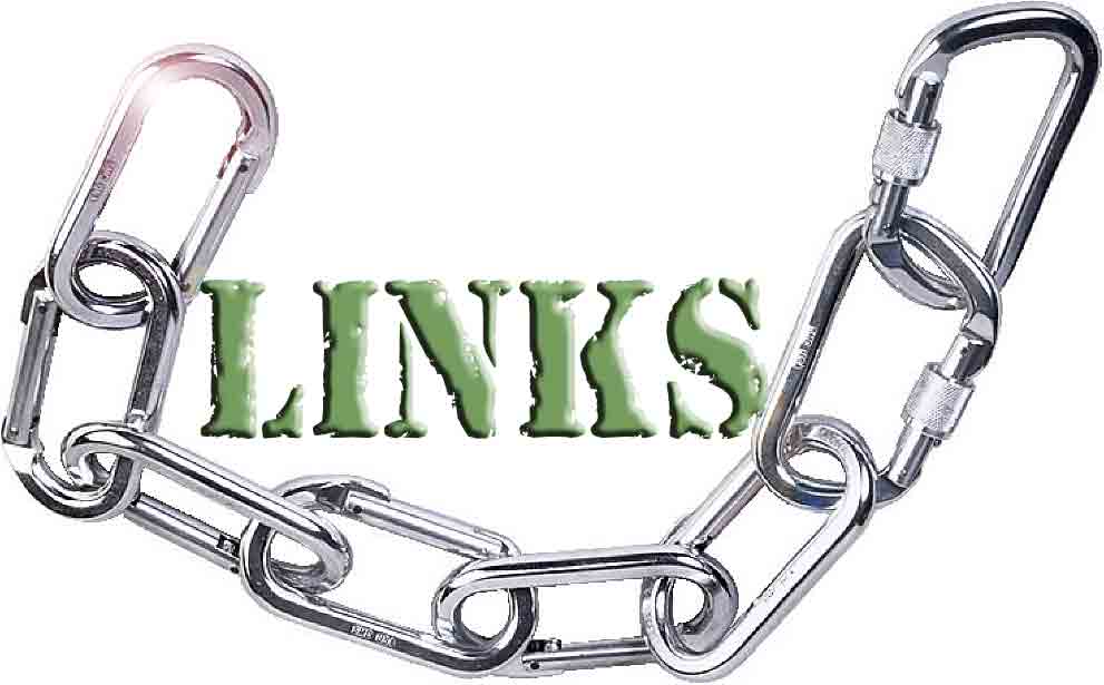 Wrong Type Of Links